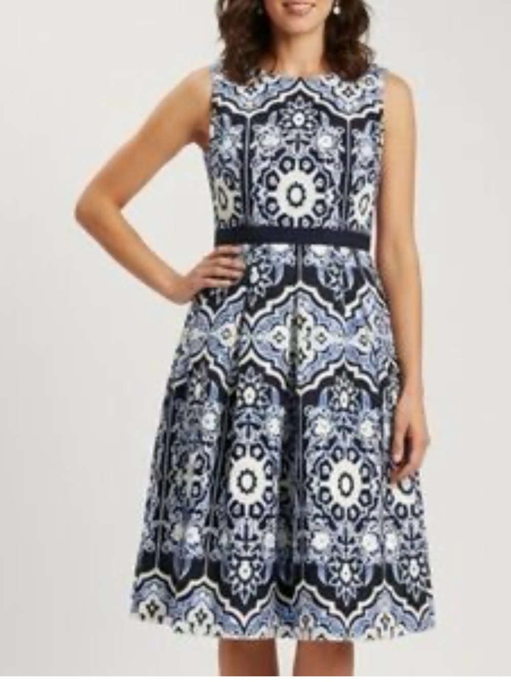 Talbots Navy and White Sleeveless Fit-and-Flare Midi Dress